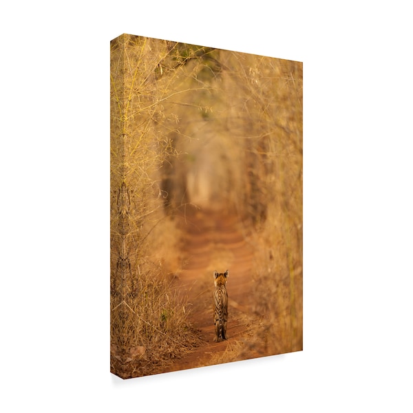 Ab Apana 'The Tiger In The Tunnel' Canvas Art,22x32